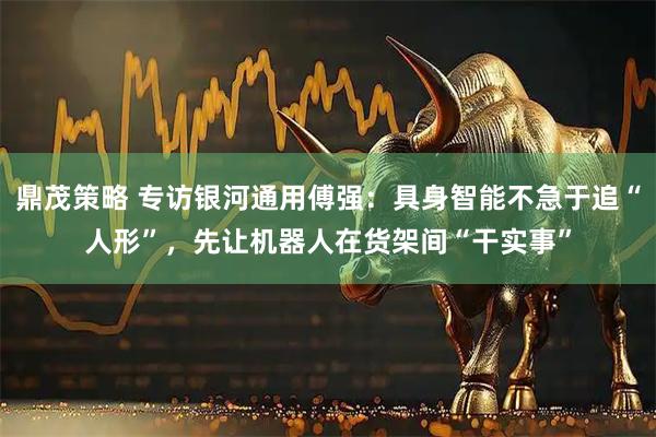 鼎茂策略 专访银河通用傅强:具身智能不急于追“人形”,先让机器人在货架间“干实事”