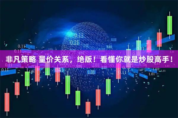 非凡策略 量价关系，绝版！看懂你就是炒股高手！